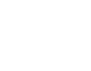 IP logo